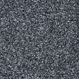 Charcoal 98 Stainaway Harvest Heathers Deluxe Carpet