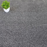 Charcoal Coast Twist Carpet Clearance