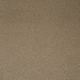 Chenille Primo Plus Carpet by Cormar