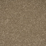Chenille Primo Plus Carpet by Cormar