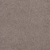 Chestnut 44 Stainaway Harvest Heathers Deluxe Carpet