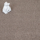 Chestnut 44 Stainaway Harvest Heathers Deluxe Carpet
