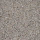 Cheviot Cloud Woodland Heather 55oz Twist Deluxe Carpet by Cormar