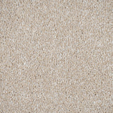 Chiffon Vision Luxury Saxony Actionback Carpet