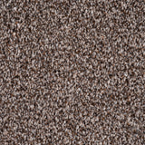 Chocolate Brown Versailles Twist Carpet