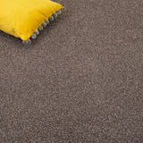 Chocolate Brown Versailles Twist Carpet