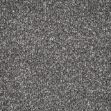Cinder Grey Apollo Plus Carpet by Cormar