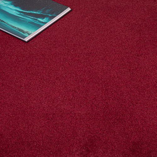 Claret Hampstead Deluxe 50oz Carpet
