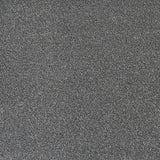 Cloud Burst Stainfree Ultra Carpet by Abingdon