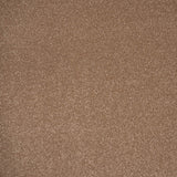 Cocoa Cream Stainfree Ultra Carpet by Abingdon