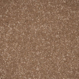 Cocoa Cream Stainfree Ultra Carpet by Abingdon