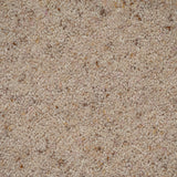 Coconut Natural Berber Twist Deluxe 55oz Carpet by Cormar