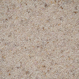 Coconut Natural Berber Twist Deluxe 55oz Carpet by Cormar