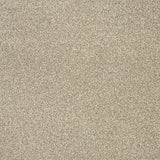 Cocoon Beige 91 StainAway Harvest Heathers Deluxe Carpet