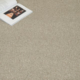 Cocoon Beige 91 StainAway Harvest Heathers Deluxe Carpet