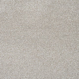 StainGuard Harvest Heathers Supreme Carpet