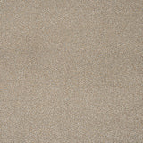 Cool Beige 12 Stainfree Tweed Carpet by Abingdon