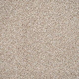 Coral White Sensation Heathers 60oz Carpet by Cormar