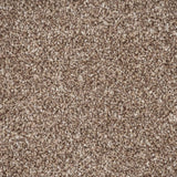 Cork Oak Apollo Plus Carpet by Cormar