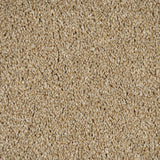 Cornsilk 12 Lasting Romance Love Story Carpet by Abingdon