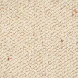 Soft Cloud 610 Corsa Berber 100% Wool Carpet