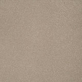 Country Beige Stainfree Ultra Carpet by Abingdon