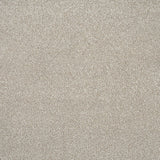 Country Life 06 Stainfree Rustique Saxony Carpet by Abingdon
