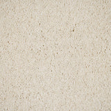 Cream 03 Magnificus Invictus Supreme Carpet
