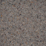 Dapple Wilton Royal Charter Berber Deluxe Carpet by Abingdon