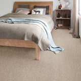 Temple 33 Darius 50oz Invictus Carpet