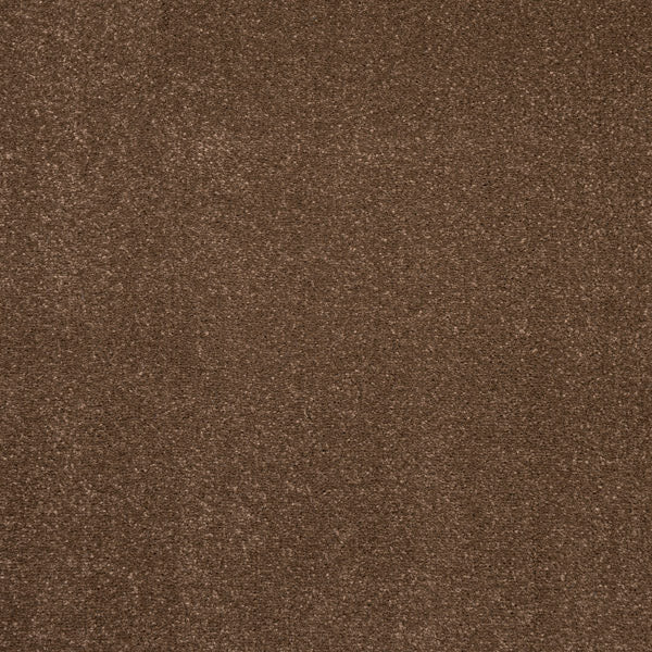 Dark Brown Solaris Twist Carpet