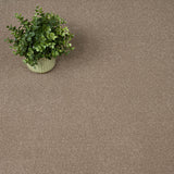 Dark Taupe Zenith Twist Carpet by Cormar
