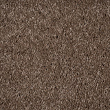 Den 45 Orion 50oz Invictus Carpet
