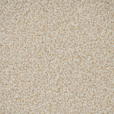 Desert Fleece Stainfree Knightsbridge Berber Carpet by Abingdon