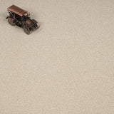 Desert Fleece Stainfree Knightsbridge Berber Carpet by Abingdon