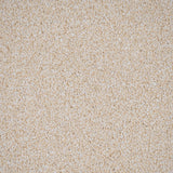 Devon Cream Inglewood Saxony Carpet by Cormar
