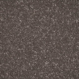 Dolomite Stainfree Ultra Carpet by Abingdon