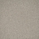 Dove Feather Zenith Twist Carpet by Cormar