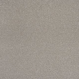 Driftwood Stainfree Rustique Ultra Carpet by Abingdon