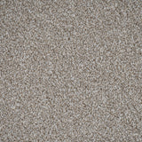 Driftwood Stainfree Rustique Ultra Carpet by Abingdon