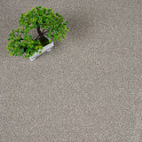 Driftwood Stainfree Rustique Ultra Carpet by Abingdon