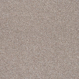 Driftwood Trinity Carpet by Cormar