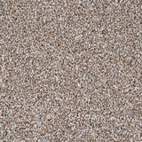 Driftwood Trinity Carpet by Cormar