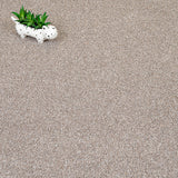 Driftwood Trinity Carpet by Cormar