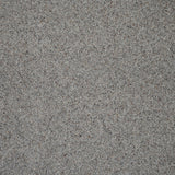 Eclipse Natural Berber Twist Deluxe 55oz Carpet by Cormar