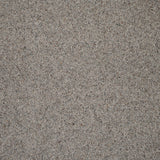 Eclipse Natural Berber Twist Deluxe 55oz Carpet by Cormar