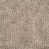 Eddleston 35 Stainaway Tweed Carpet