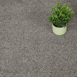 Elder Bark 93 Orion 50oz Invictus Carpet