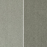 Emotion Elite Intenza Carpet Clearance