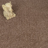 Espresso 16 Stainfree Tweed Carpet by Abingdon
